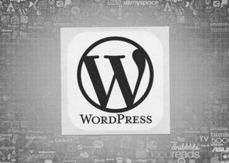 optimizacija WordPress strani