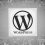 Kaj pomeni optimizacija WordPress strani in zakaj je pomembna?