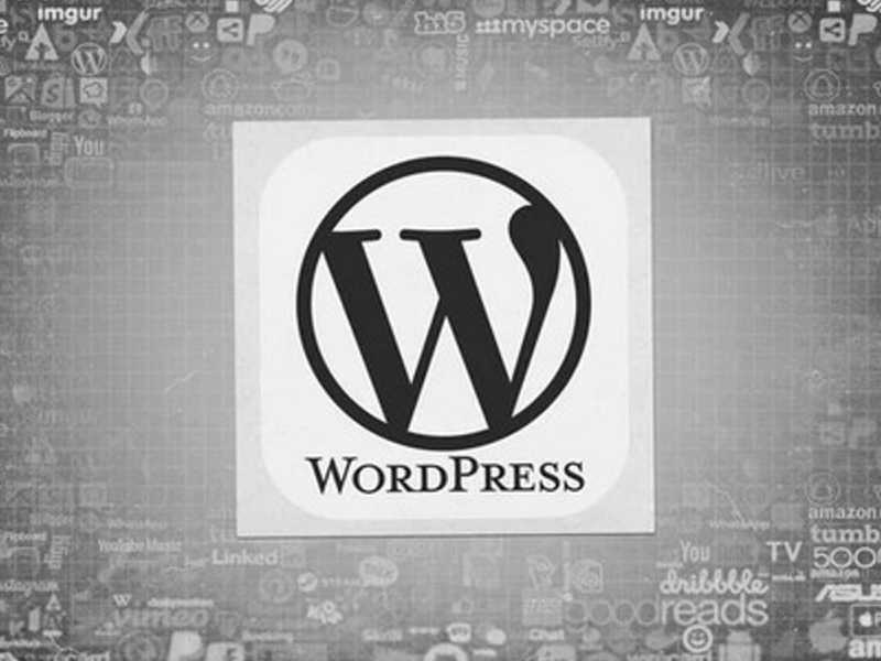 optimizacija WordPress strani